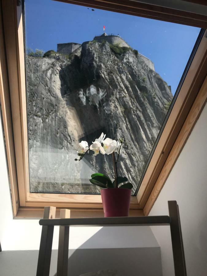 Ferienwohnung Le Saxo Cuivre Dinant Exterior foto
